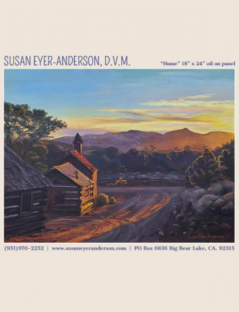 Susan Eyer-Anderson