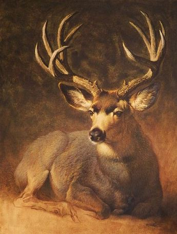 2020 Auction:  Mule Deer Buck