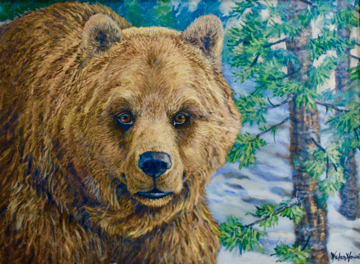 Grizzly Encounter