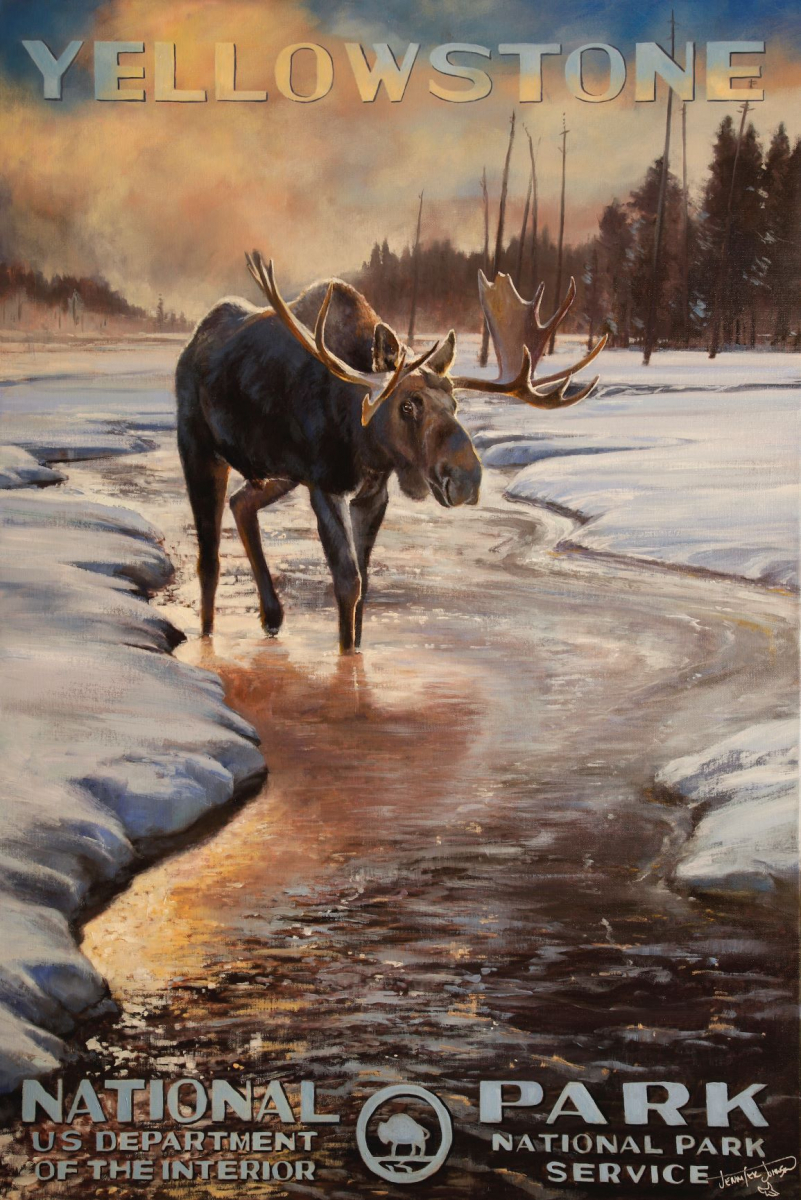 Yellowstone National Park - WInter Moose