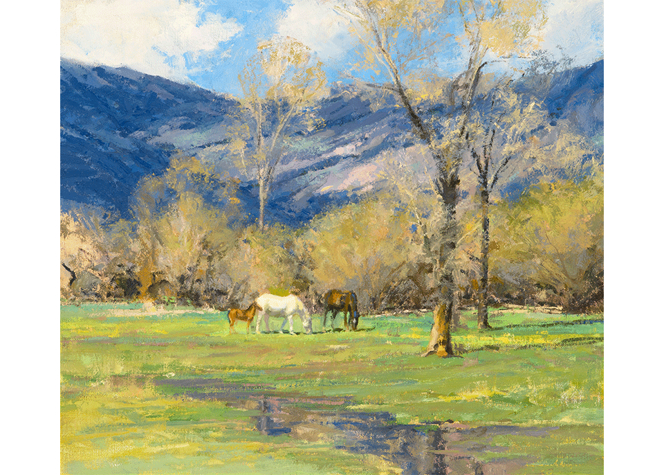 Spring on the TE Ranch