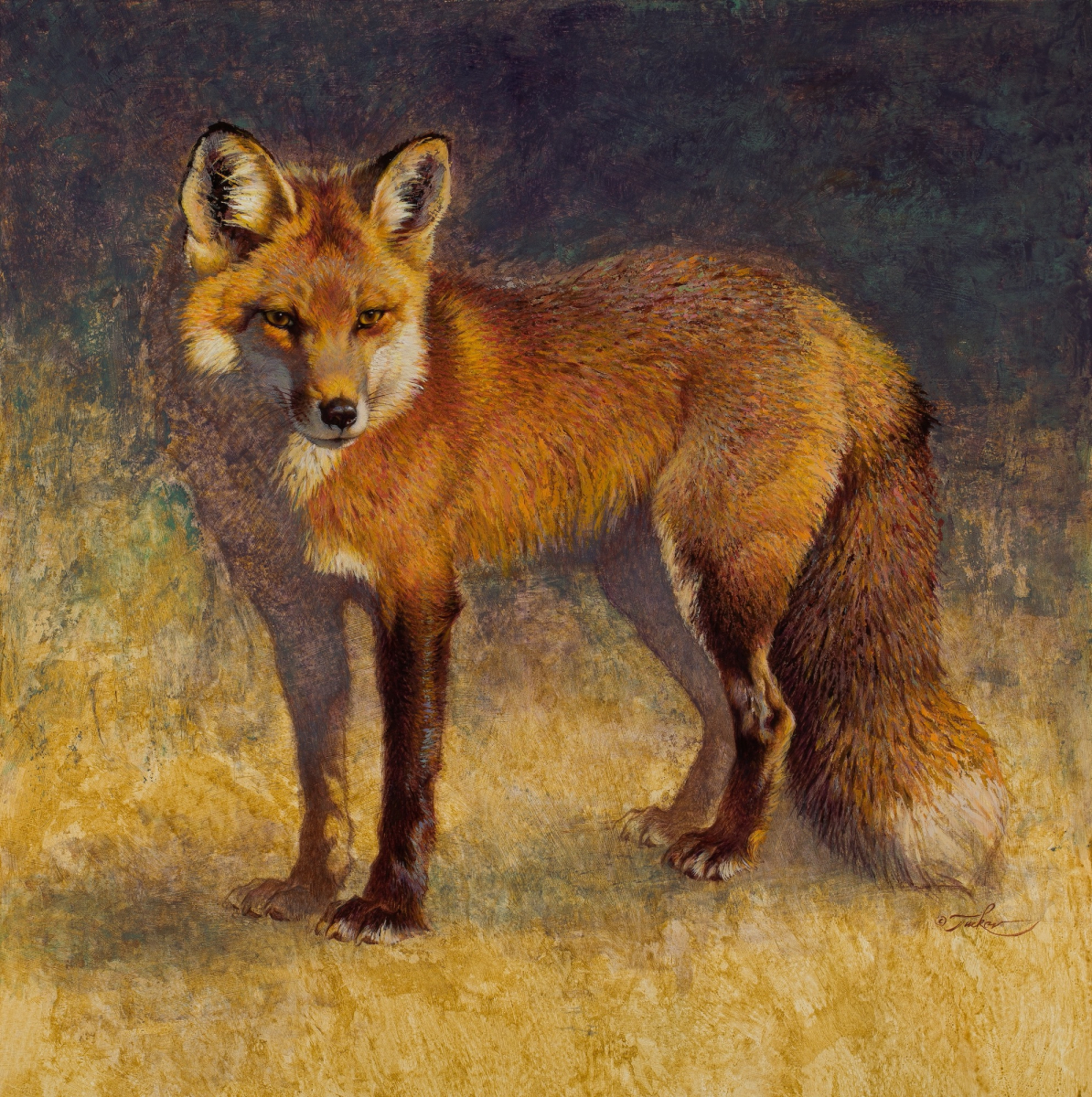 A Foxy Beauty