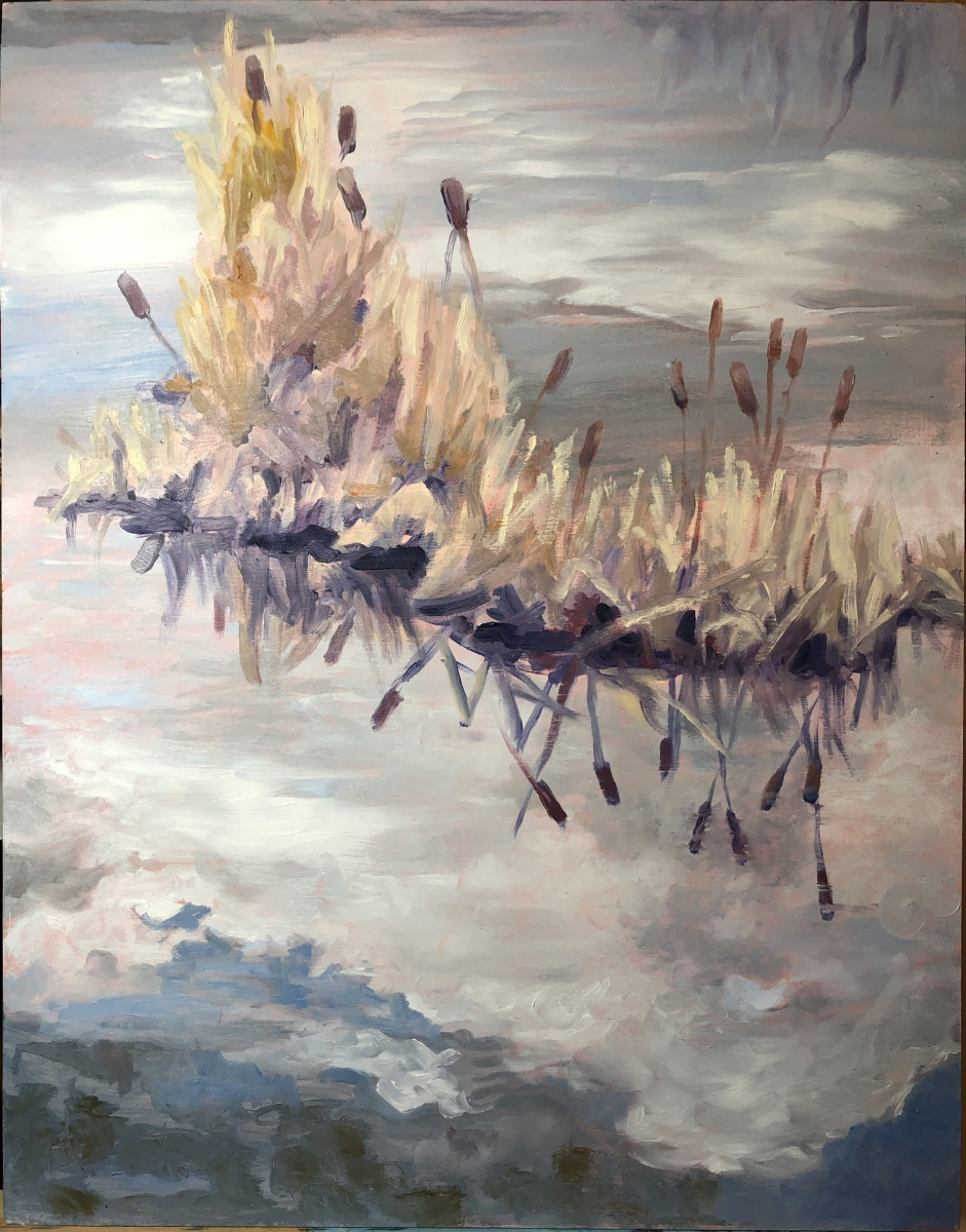Cattails in the Pond
