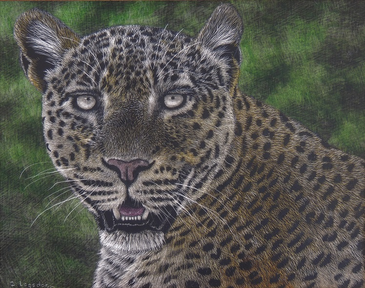 Leopard Portrait #3