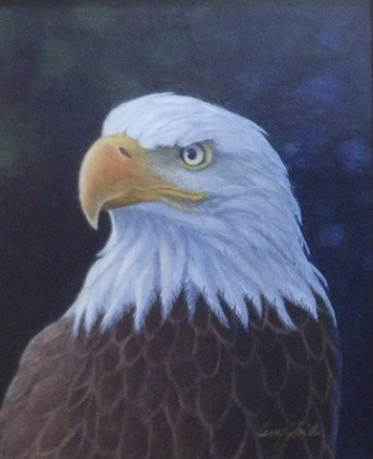 "Eagle Portrait"
