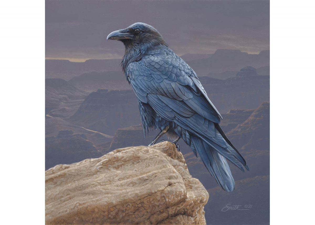 Rim Rock Raven
