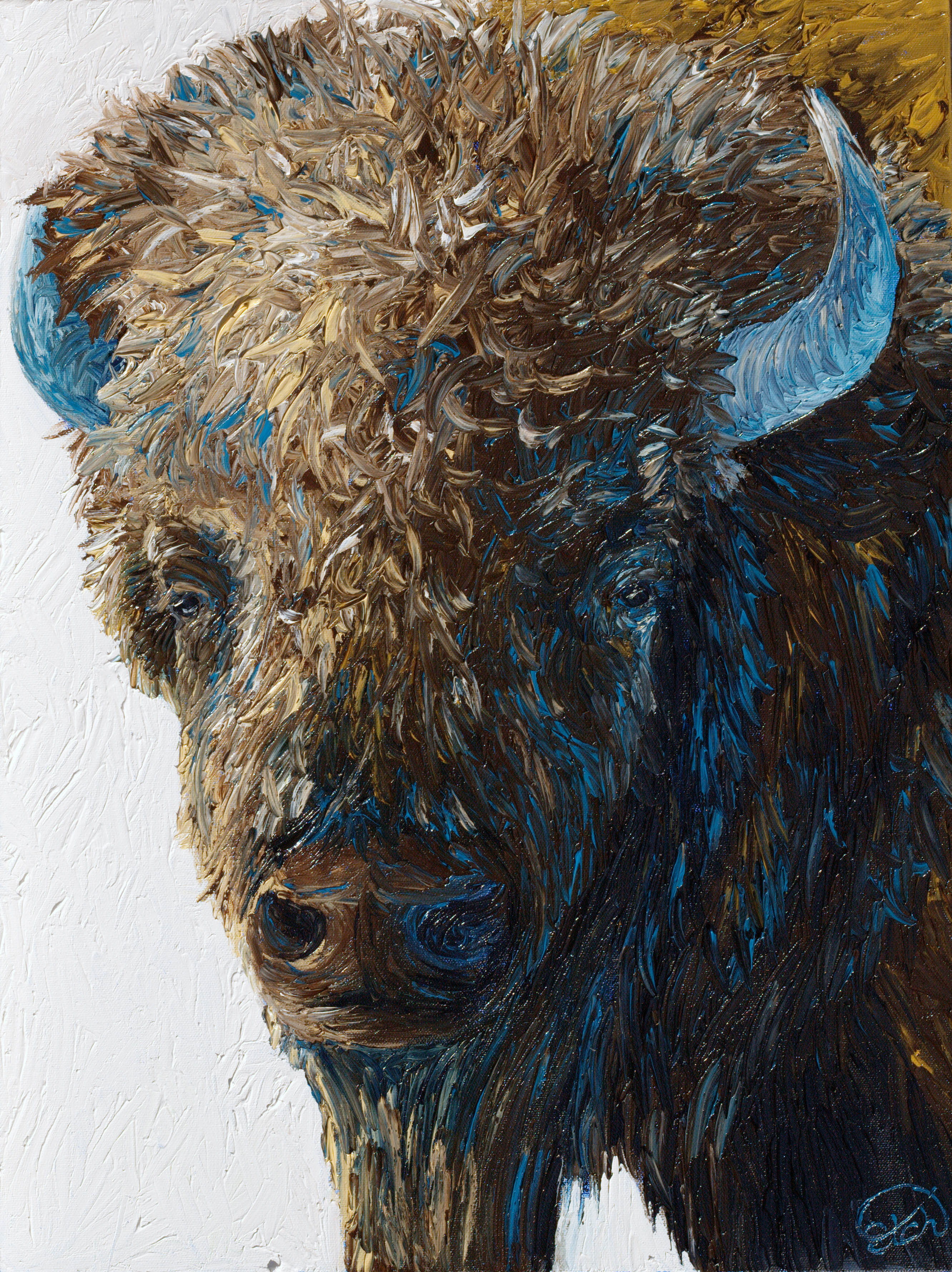 Bull Bison Portrait