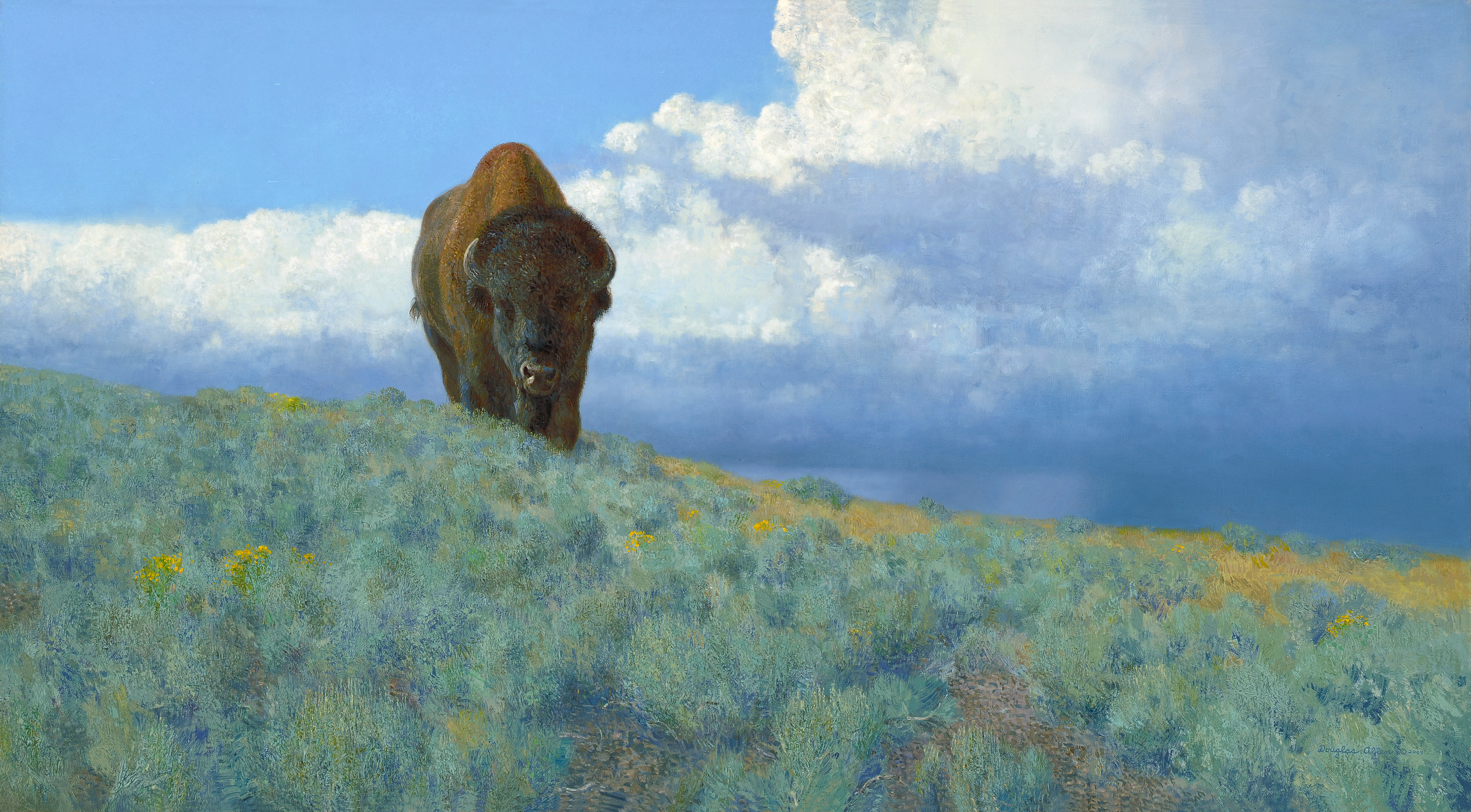 Drifting Before the Storm, American Bison