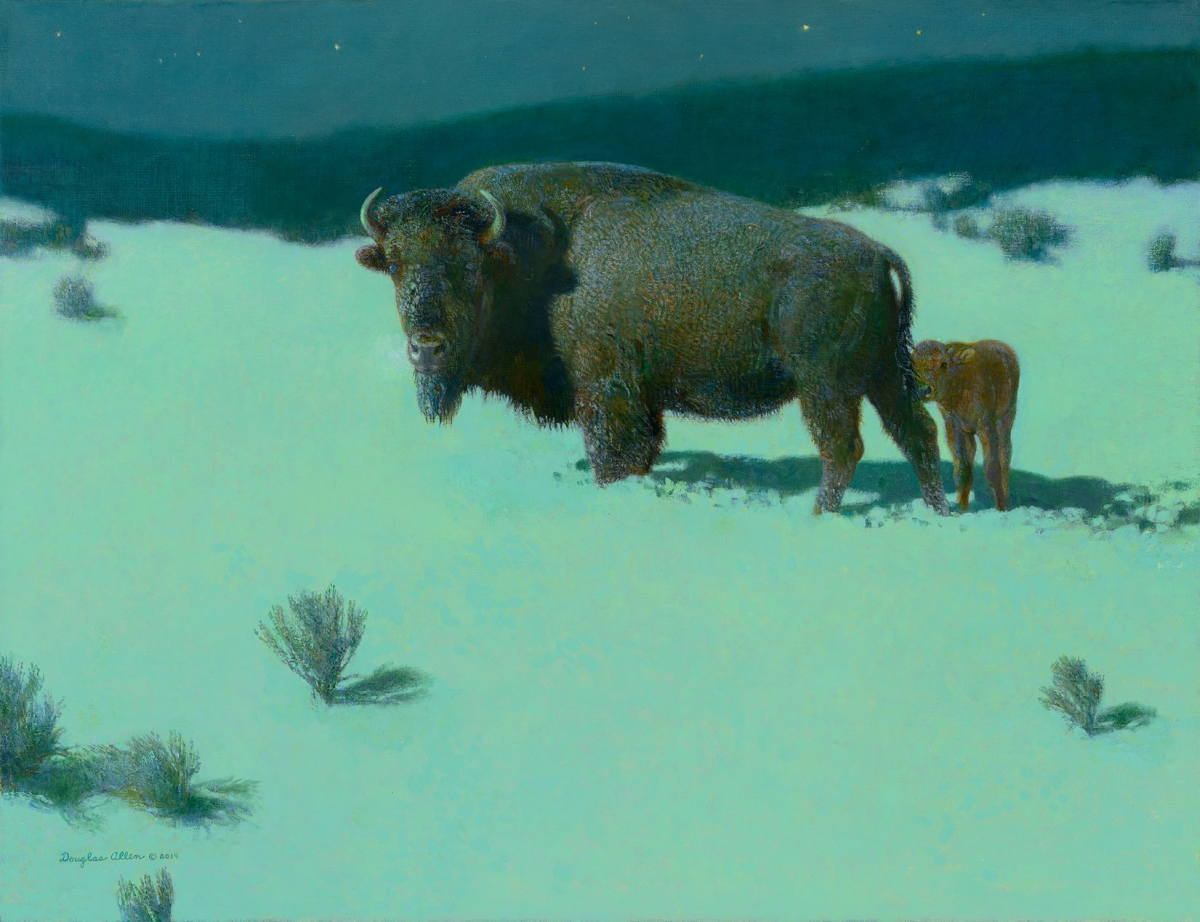 The Guardian, American Bison