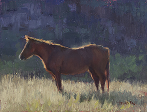 Backlit Horse