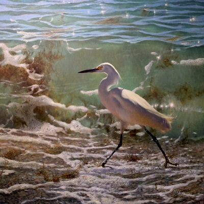 Snowy Egret with Sea Grass
