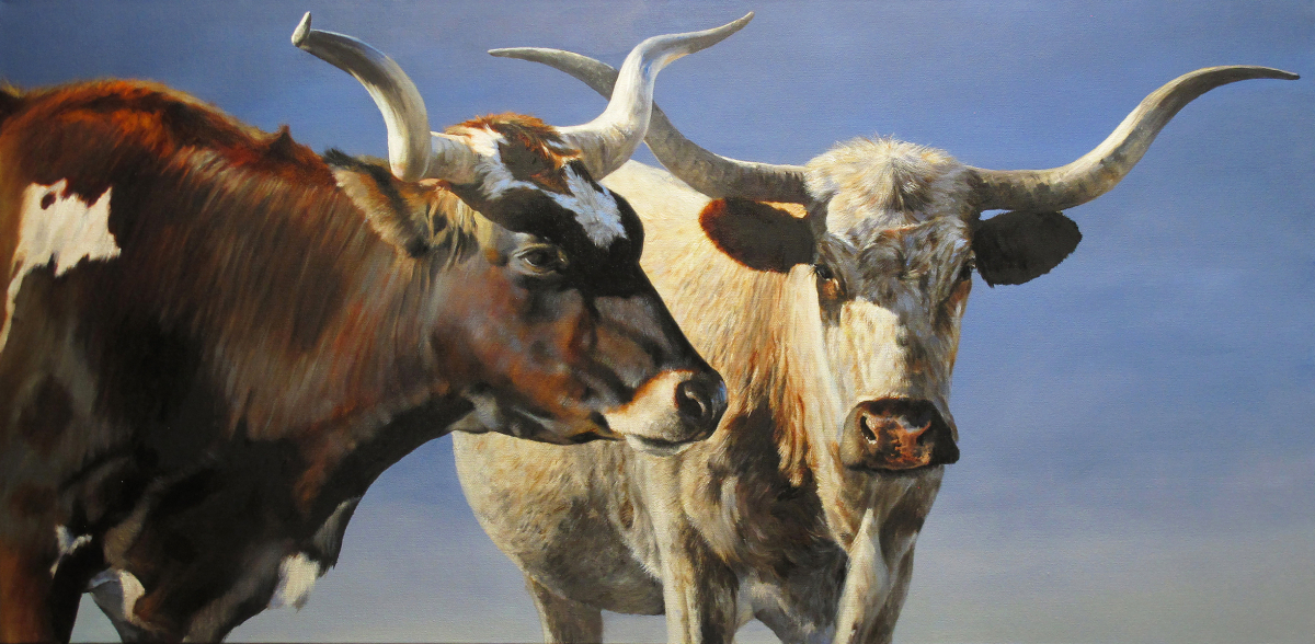 Longhorns on a Summer Day
