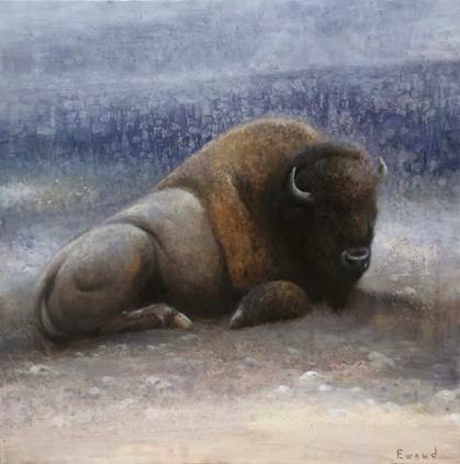 Resting Bison
