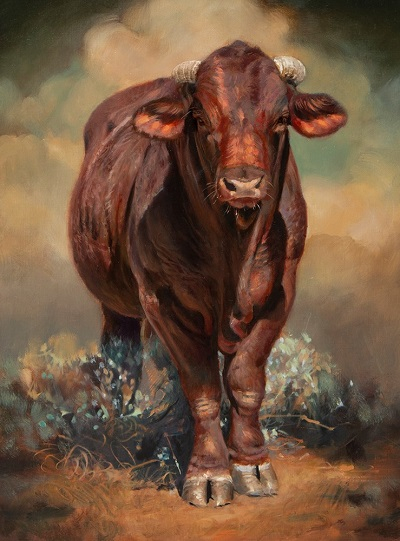 Black Mesas Bull