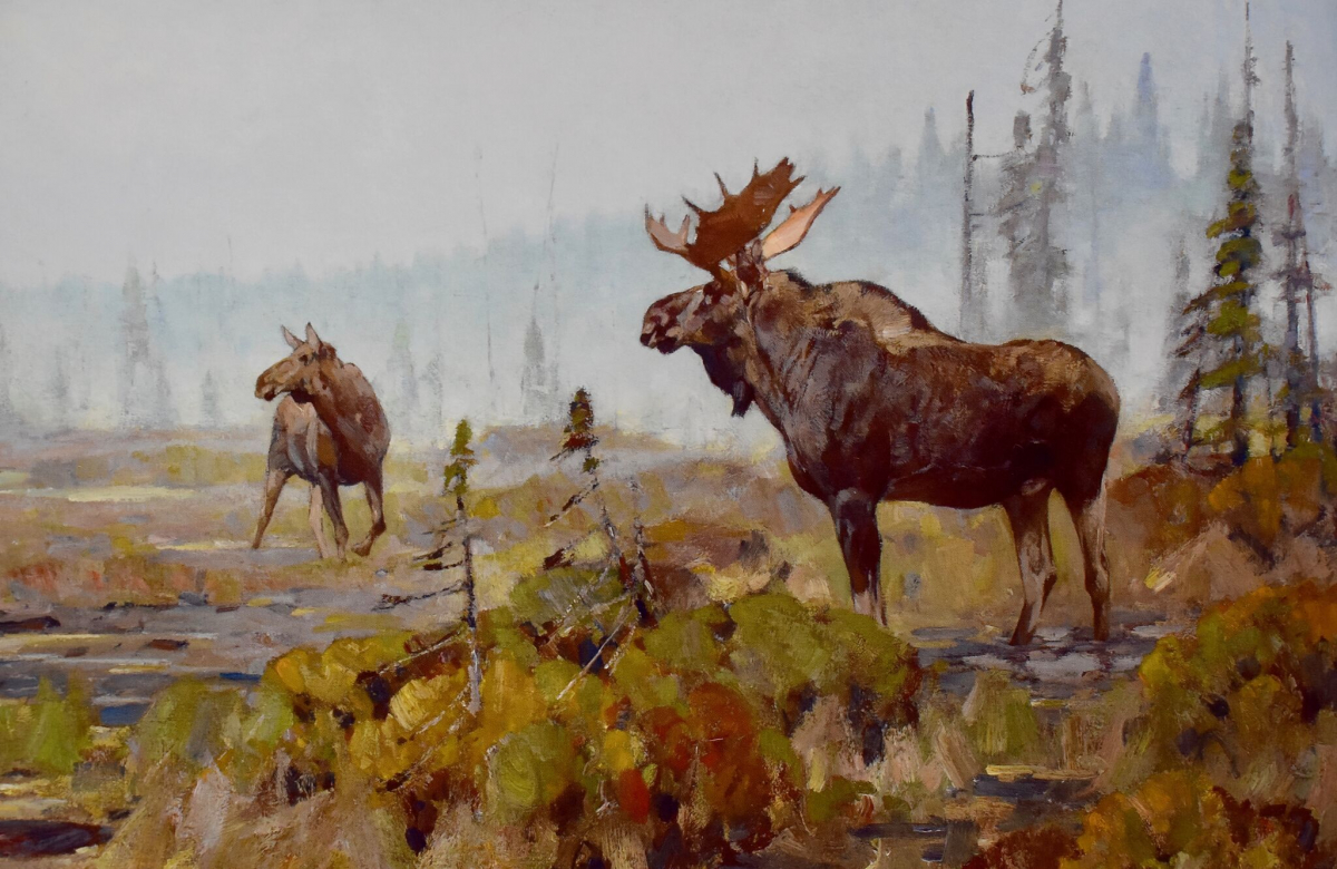 Moose Near Long Lake
