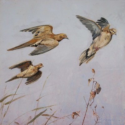 Doves of Hondo