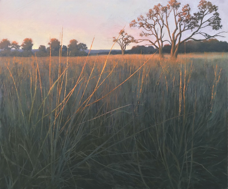 Evening Prairie