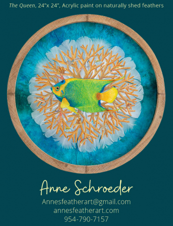 Anne Schroeder