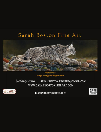 Sarah Boston Fine Art