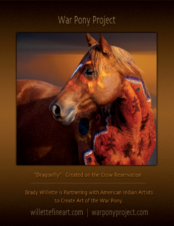 War Pony Project/Willette Fine Art