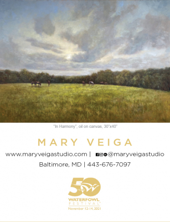 Mary Veiga Studio
