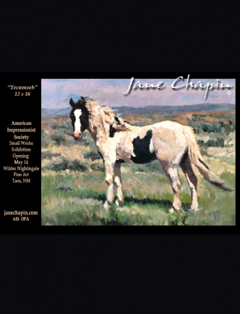 Jane Chapin Studio